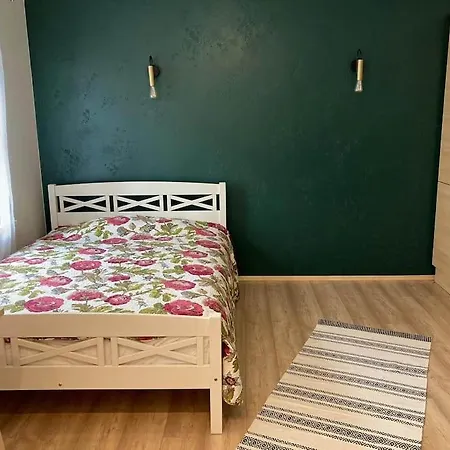 Cozy Studio In The City Center Apartment