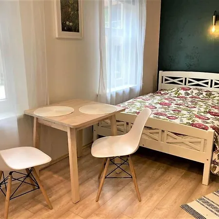 Cozy Studio In The City Center Apartment
